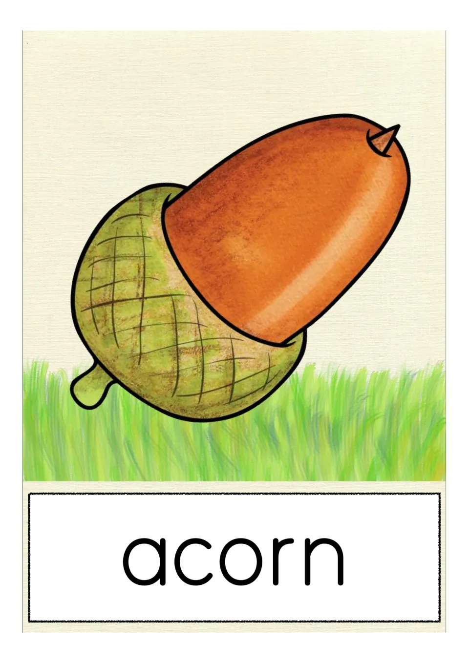 Vocabulary card for acorn: one large brown nut sitting in a green textured cap on grass, its name printed below