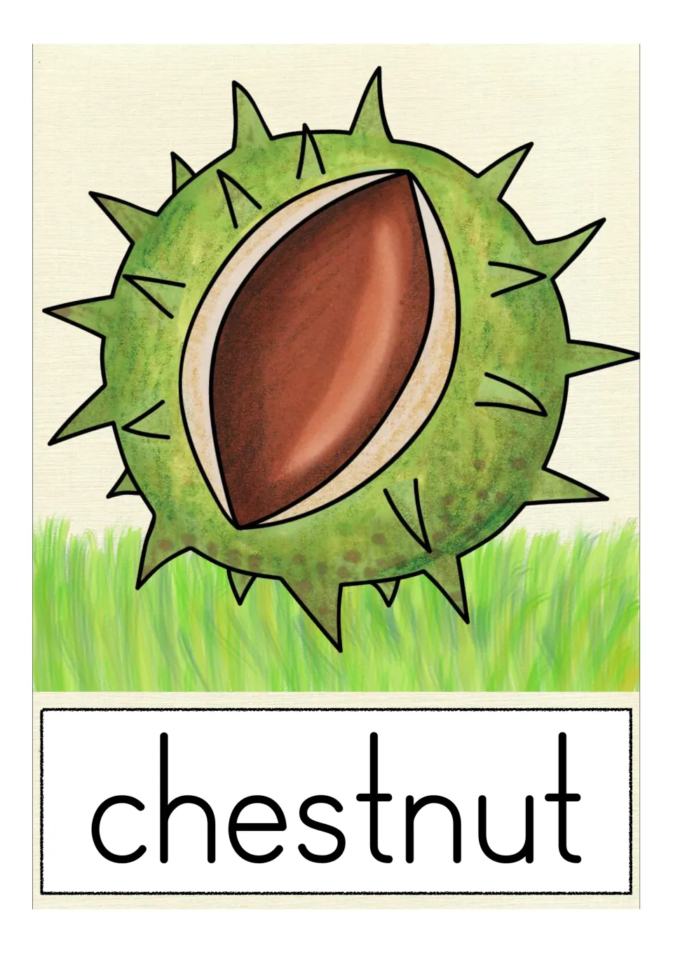 Vocabulary card for chestnut: a shiny brown nut showing through a split, spiky green husk, its name printed below