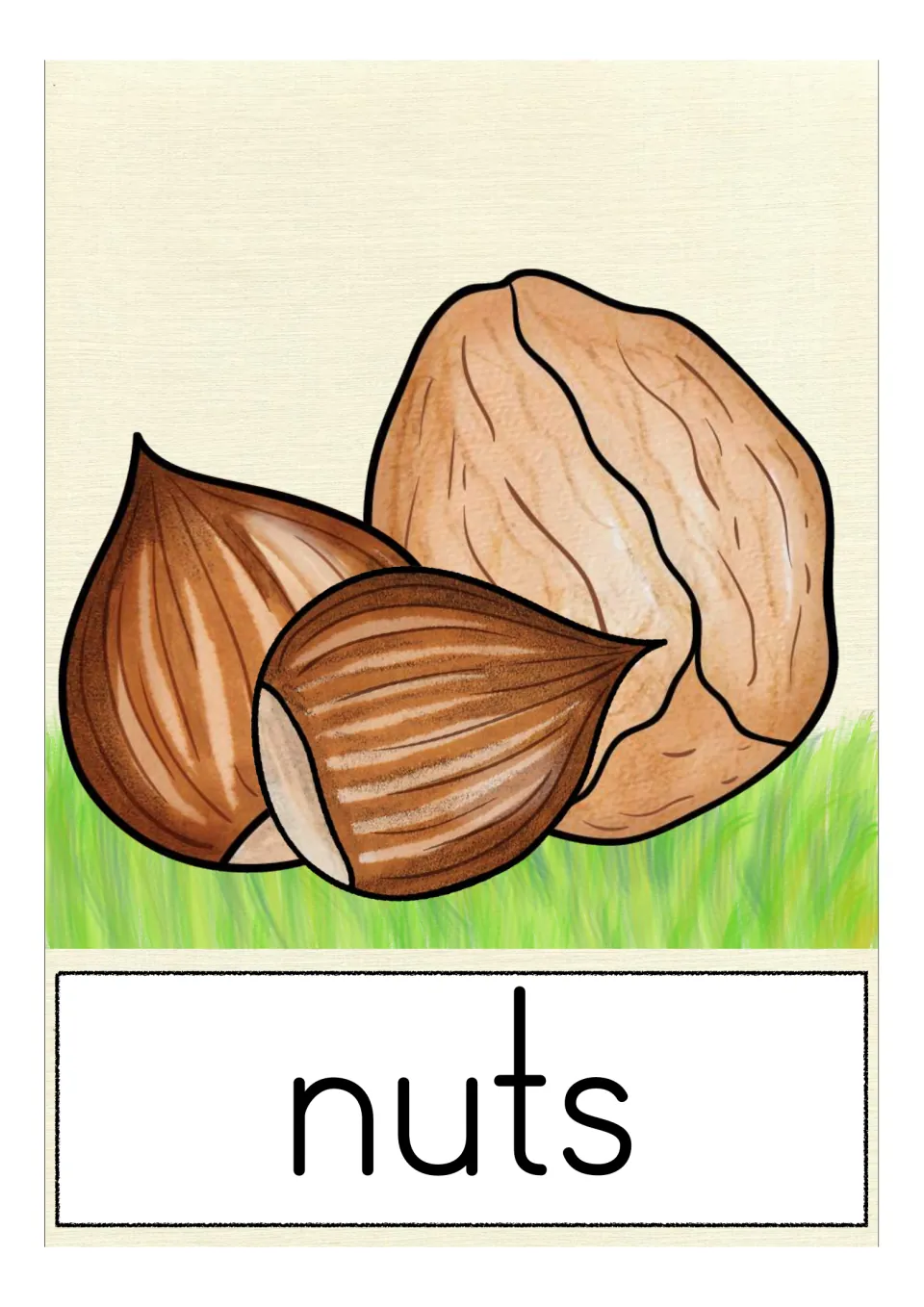 Vocabulary card for nuts: two hazelnuts and a larger walnut lying together in the grass above the printed word