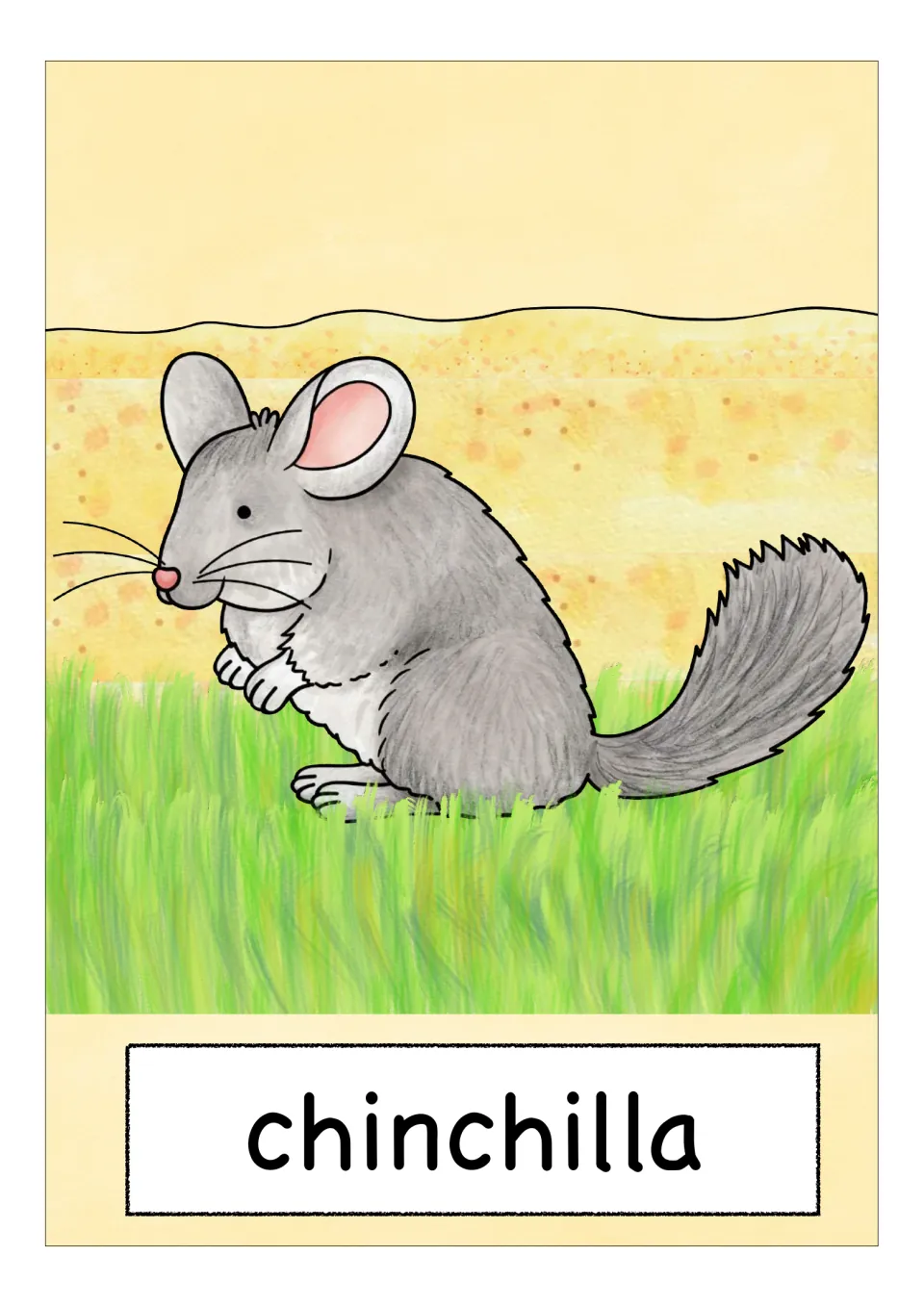 Animal vocabulary flashcard labeled 'chinchilla', showing a gray chinchilla with large ears and a bushy tail
