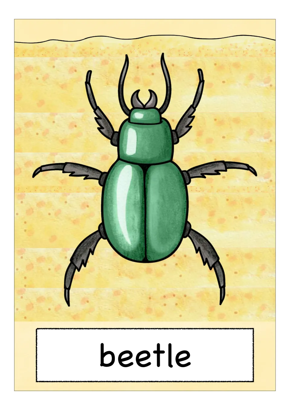 Animal vocabulary flashcard labeled 'beetle', showing a green beetle viewed from above with six dark legs