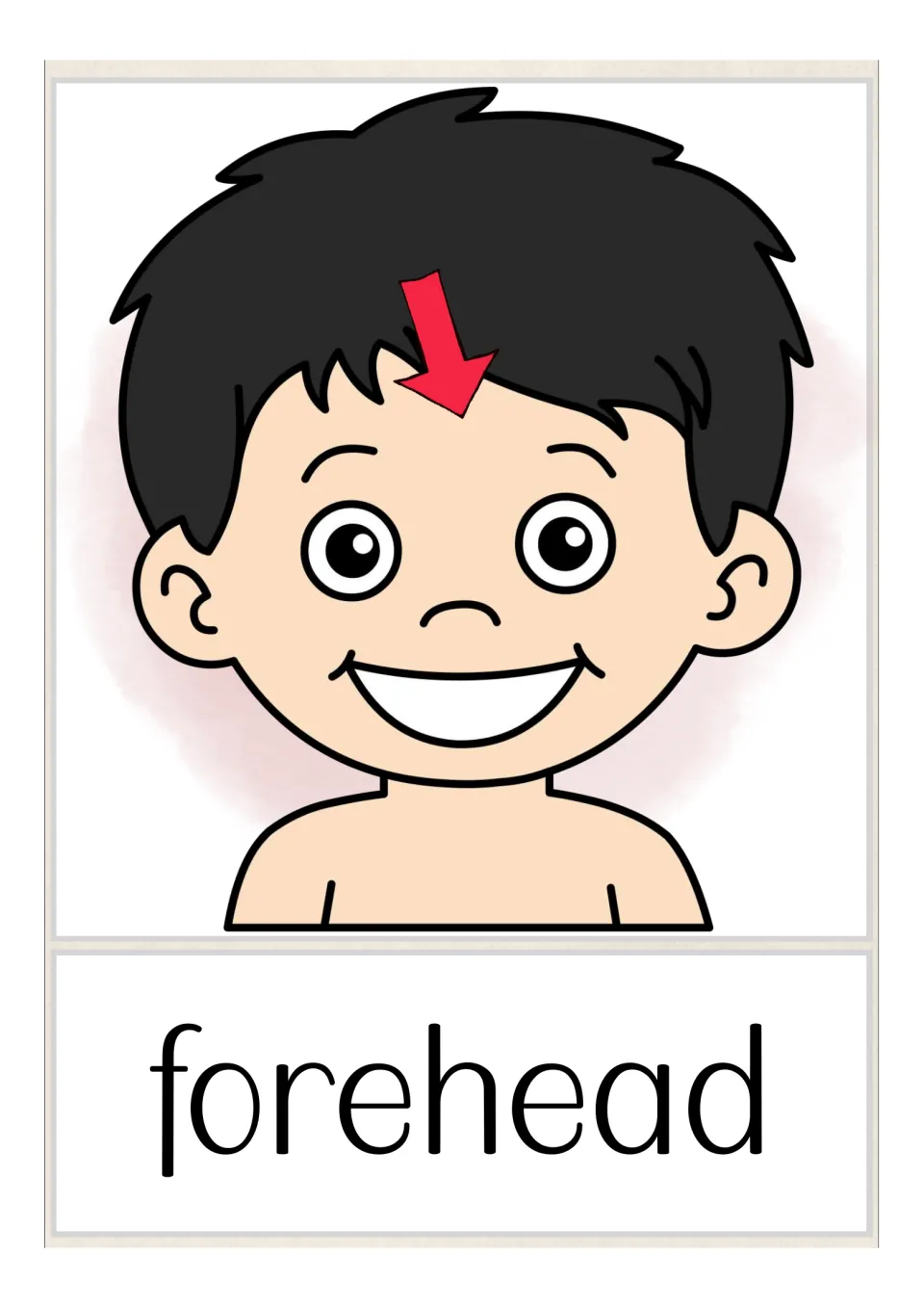 Forehead vocabulary card: a red arrow points to the forehead of a smiling boy with black hair, labelled forehead