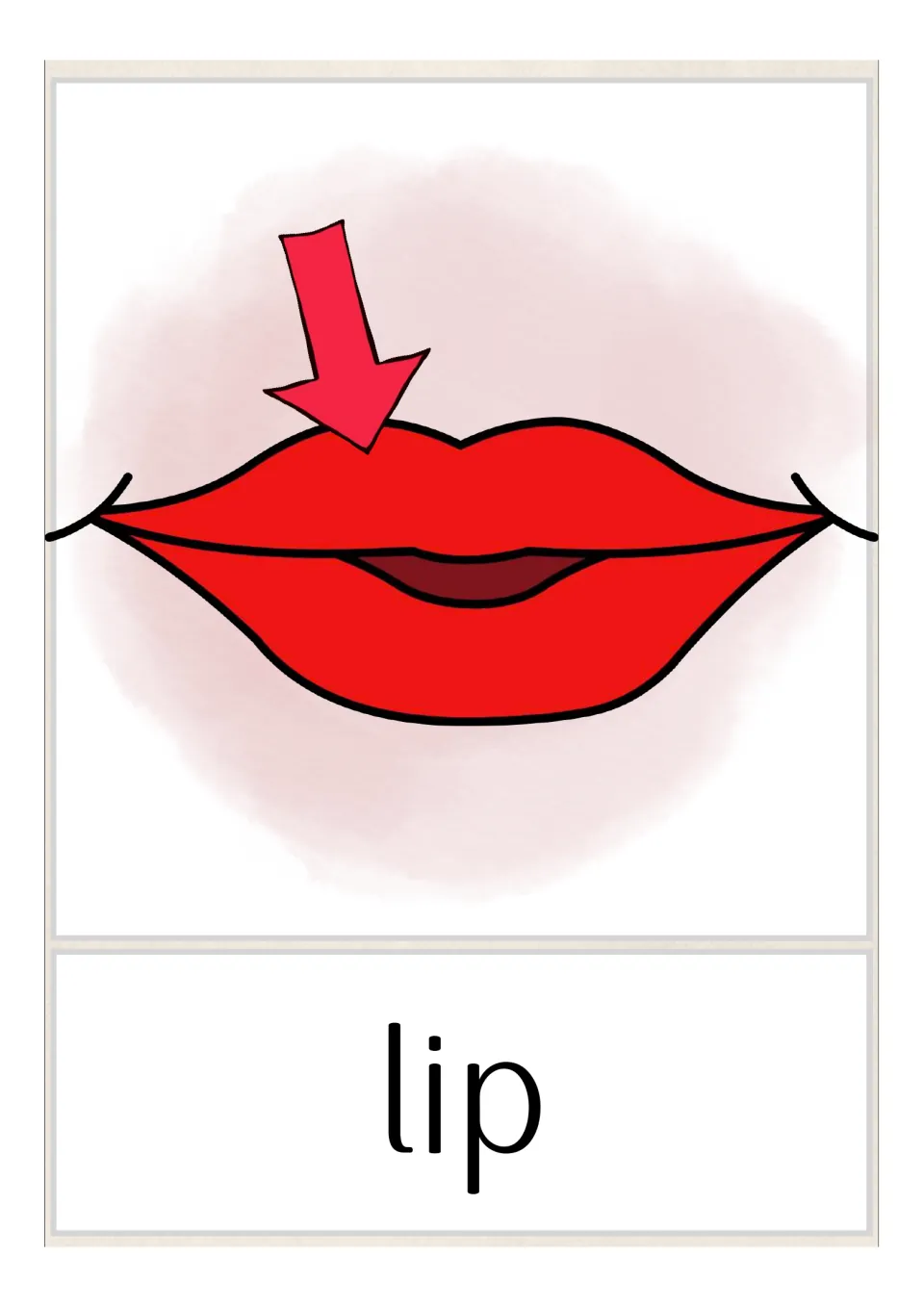 Lip vocabulary card: a red arrow points to the upper lip of a pair of red lips, labelled with the word lip