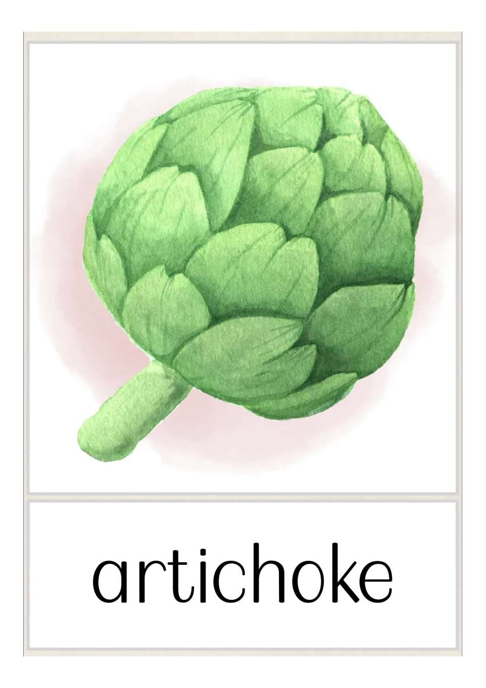 Fruit and vegetable vocabulary flashcard featuring a green artichoke with a stem and the label “artichoke”
