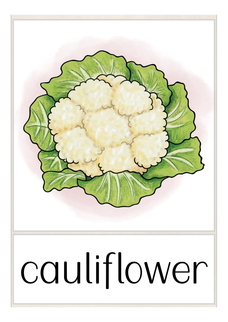 Fruit and vegetable vocabulary flashcard featuring cauliflower surrounded by green leaves, labeled “cauliflower”