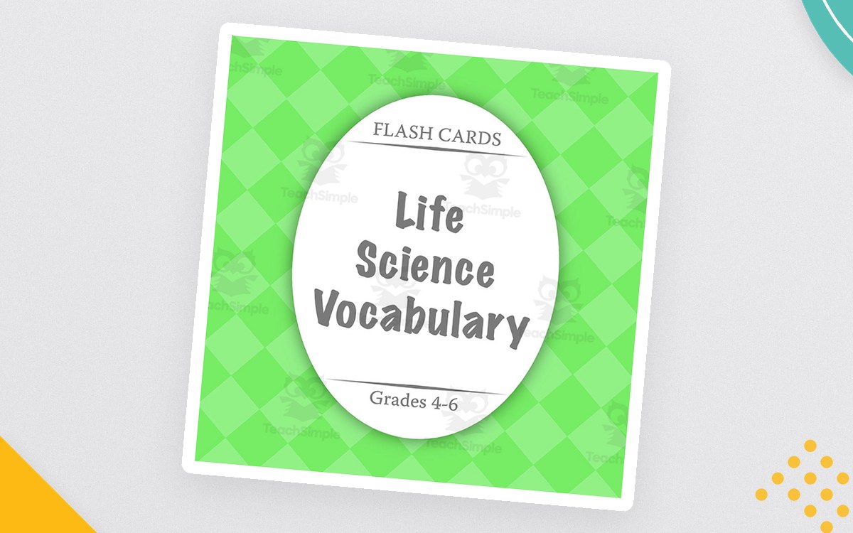 Flash Cards: Life Science Vocabulary preview