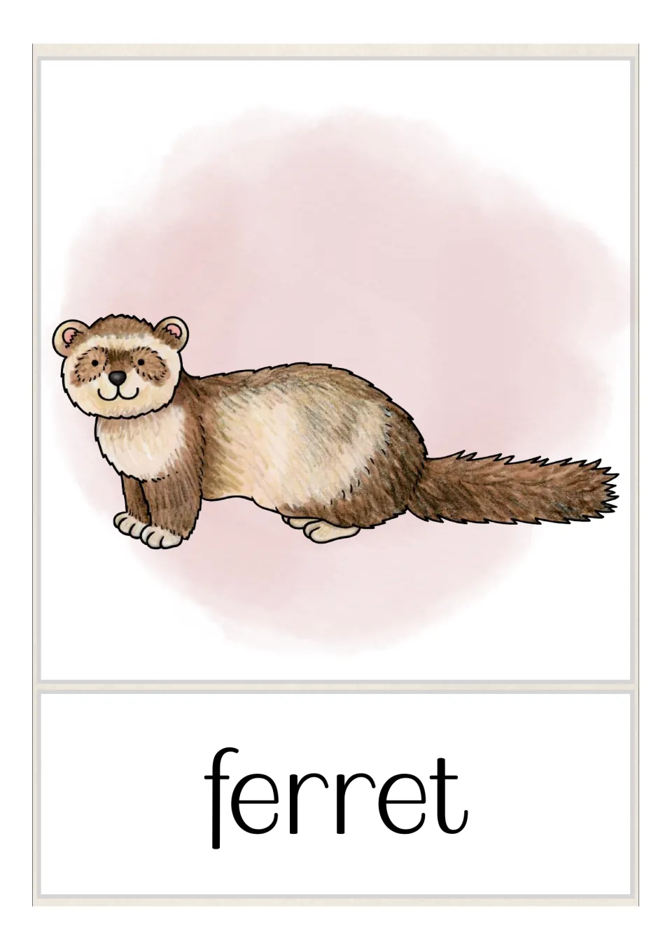Ferret vocabulary card: a smiling brown and cream ferret with a long fluffy tail above the word ferret