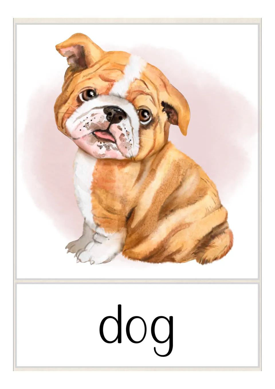 Dog vocabulary card: a watercolor bulldog puppy with tan and white fur sits above the word dog