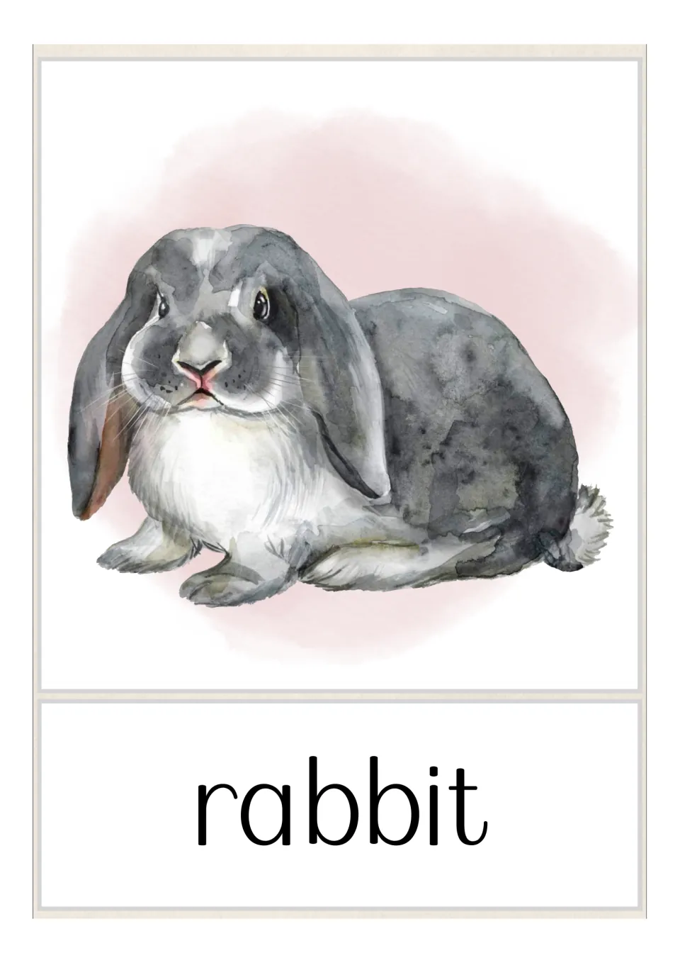 Rabbit vocabulary card: a gray and white lop-eared rabbit with a fluffy tail sits above the word rabbit