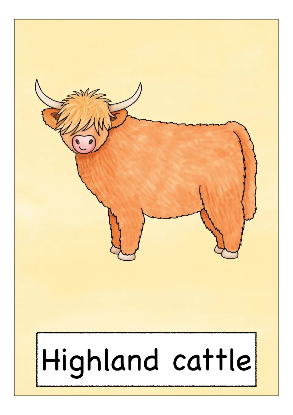 Scotland vocabulary flashcard labeled 'Highland cattle', showing a shaggy orange animal with long horns