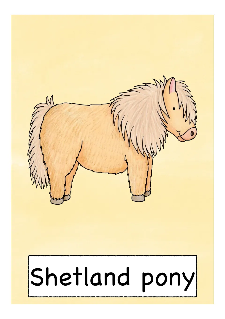 Scotland vocabulary flashcard labeled 'Shetland pony', showing a small tan pony with a shaggy pale mane