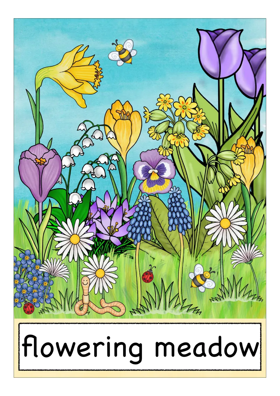 Spring flower vocabulary card labeled 'flowering meadow,' showing several kinds of flowers growing together