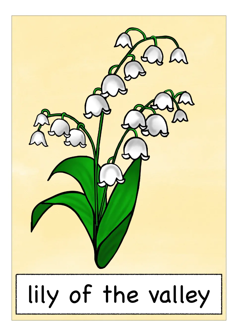 Spring flower vocabulary card labeled 'lily of the valley,' showing small white bells above broad green leaves