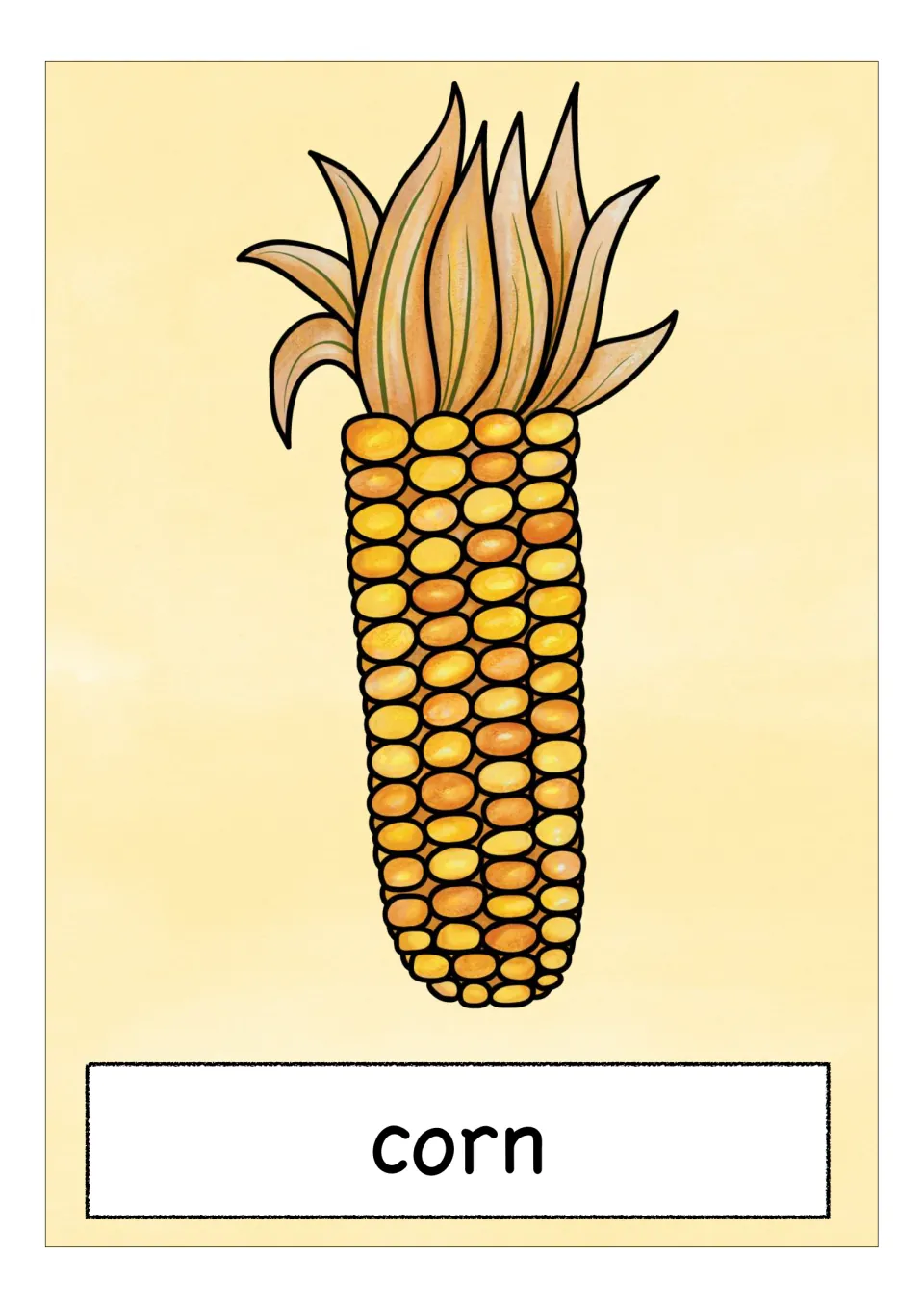 Corn card: an ear of yellow and orange corn kernels with dry husks fanning at the top, labeled corn for word practice