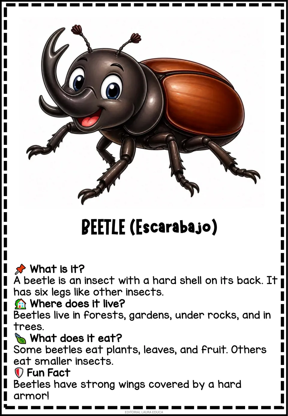 Beetle information flashcard labeled 'Escarabajo' (beetle), with facts about its shell, habitats, and diet