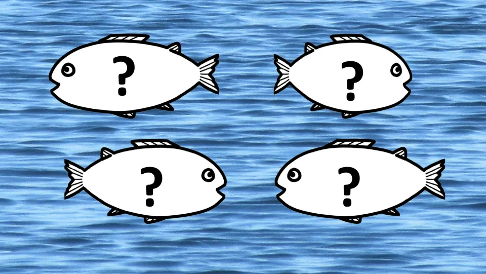 Editable flashcard slide with four fish marked with question marks for practicing sounds, words, or numbers.