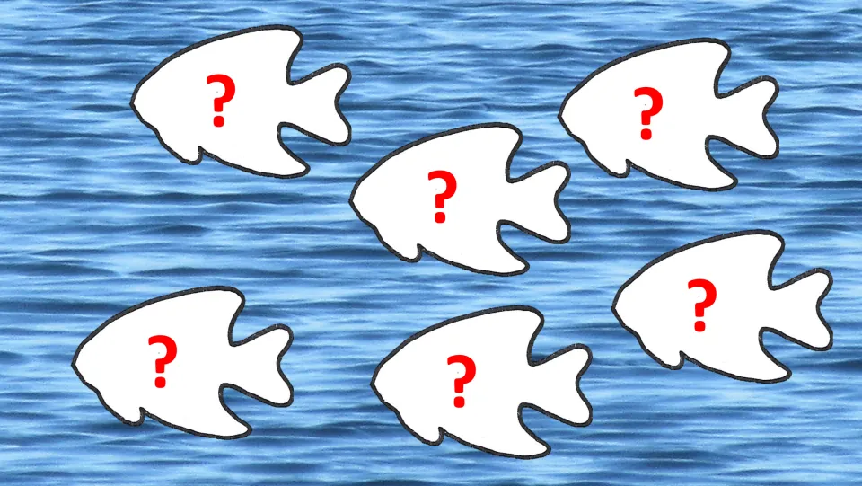 Editable flashcard slide with six fish displaying red question marks as placeholders for practice text.