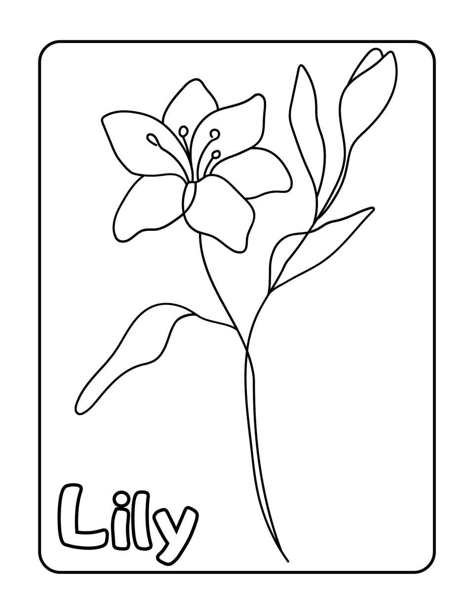 Lily coloring page: children color one open lily with stamens, a long stem and leaves, plus the bubble-letter word Lily