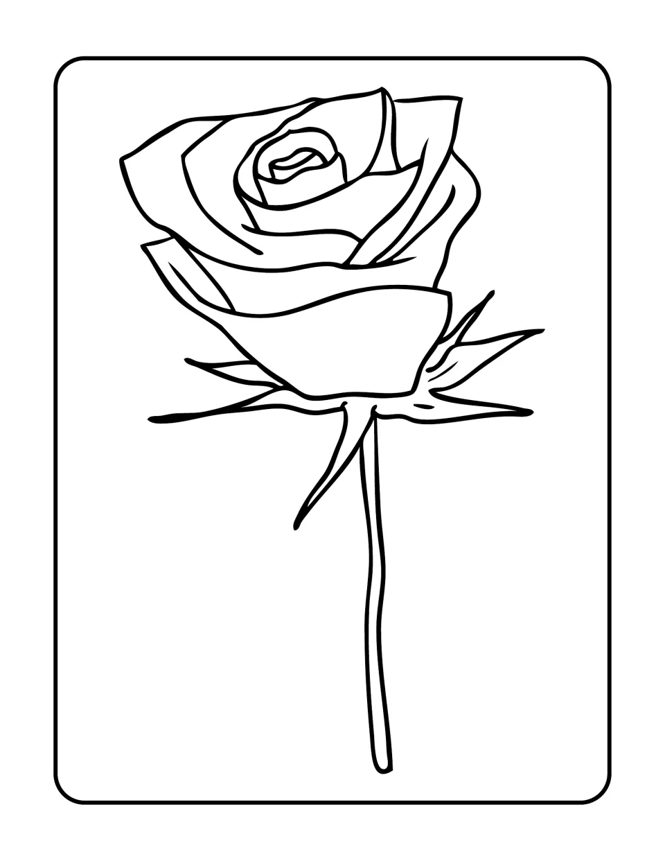 Long-stemmed rose to color: one half-open rose bloom with a spiral center and pointed sepals on a tall straight stem