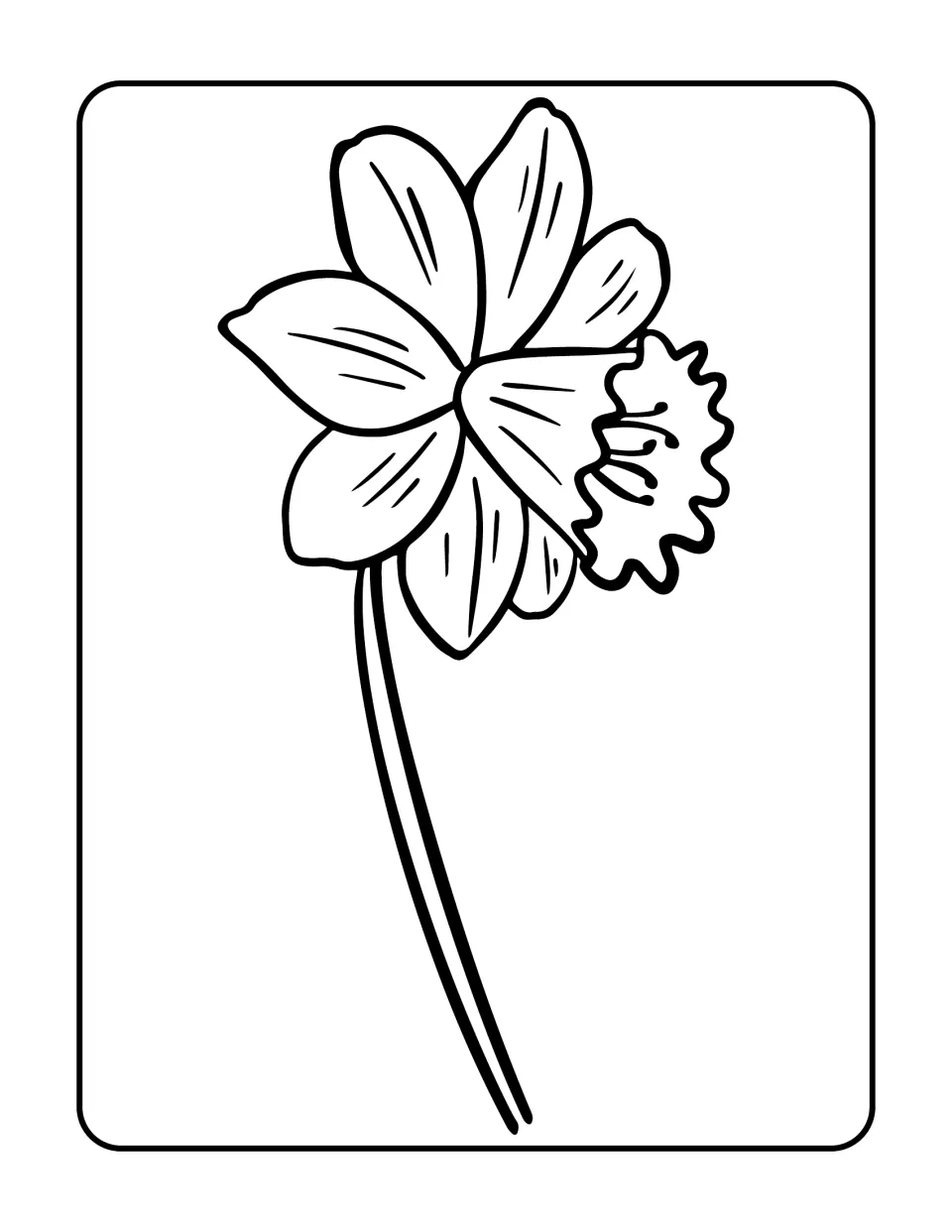 Side-view flower to color: six veined petals behind a frilly trumpet-shaped cup on one long curved stem, unlabeled