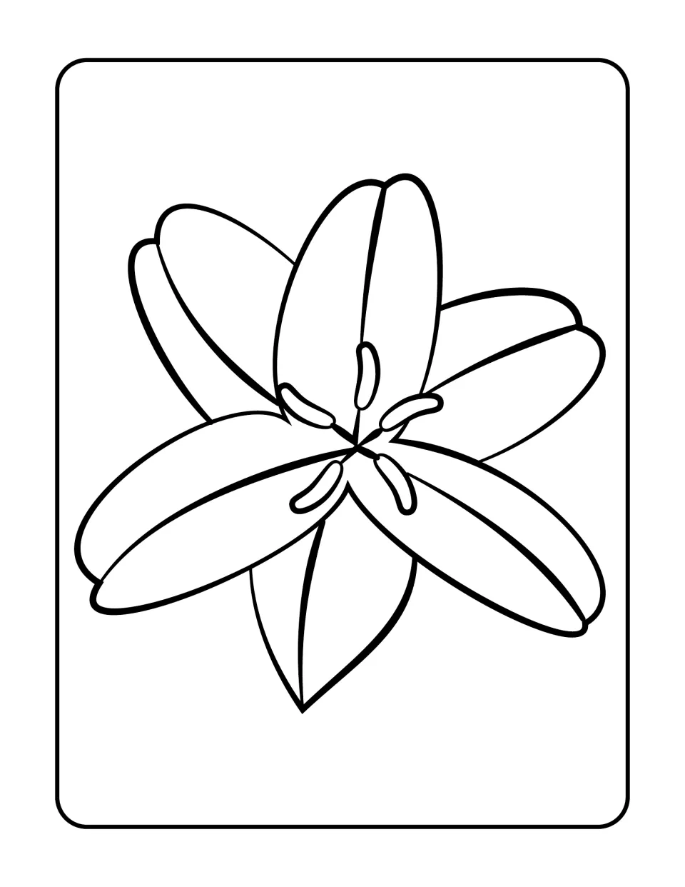 Lily seen from above for coloring: six broad rounded petals radiate around curved stamens at the flower's center