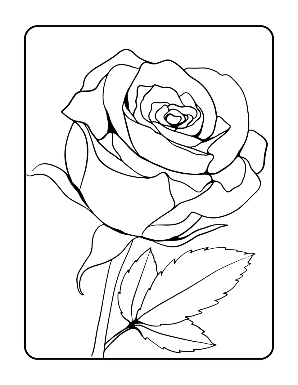Long-stemmed rose to color: a side view of a half-open bloom with curling sepals and a serrated three-part leaf