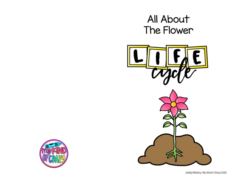 Cover reading All About The Flower Life Cycle, with a pink flower growing from soil and its roots showing