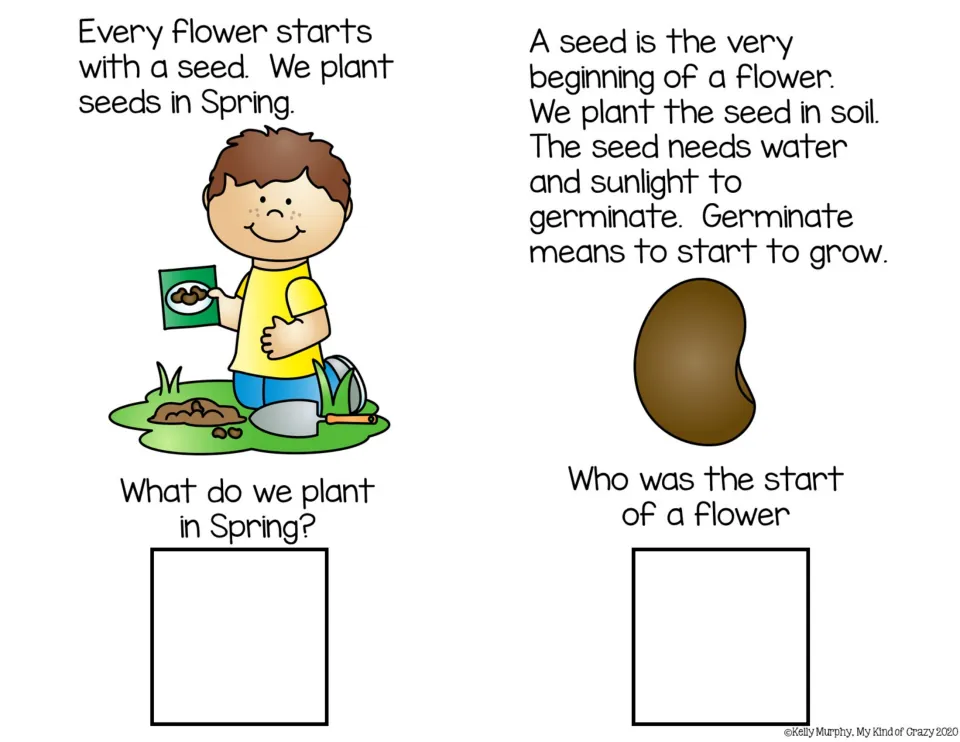 Seeds and germination: students read how a flower starts as a seed planted in spring, then answer two questions
