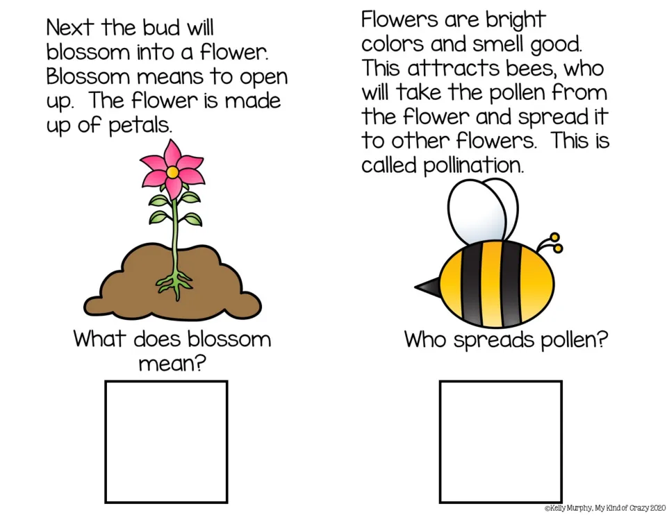 Blossom and pollination: students read how a bud opens into petals and bees spread pollen, then define blossom