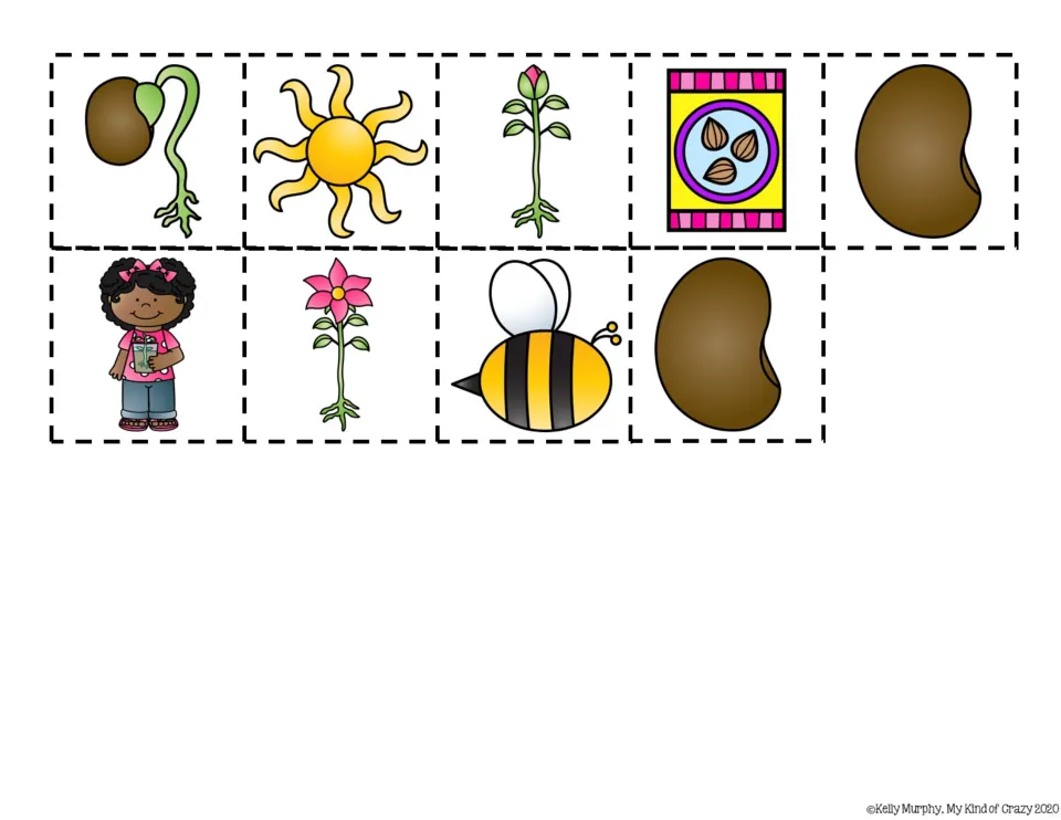 Picture answer cards to cut out: sprout, sun, bud, seed packet, girl with seedling, flower, bee and two seeds
