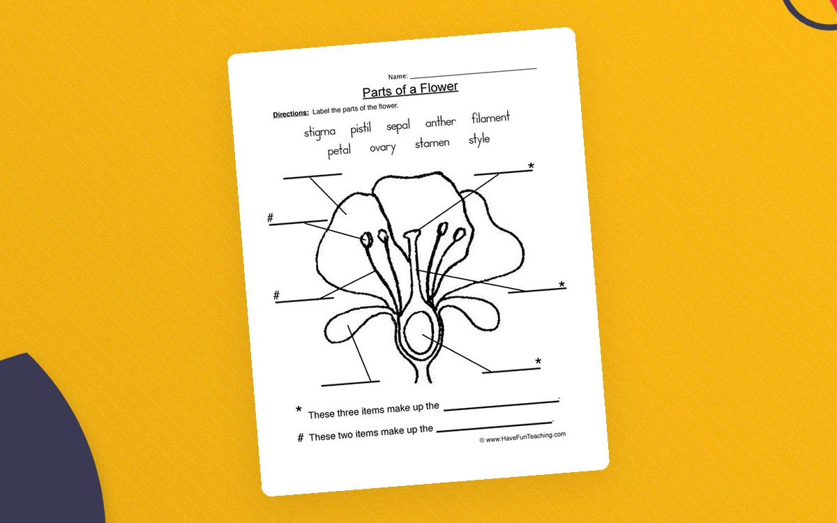 Parts of a Flower worksheet with a large flower diagram and labels for its reproductive and floral structures.