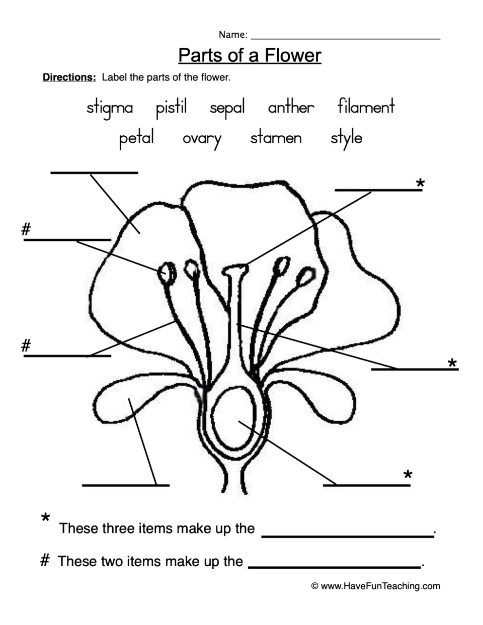 Flower parts diagram: students label petal, sepal, anther, filament, stigma, style and ovary, then name pistil and stamen