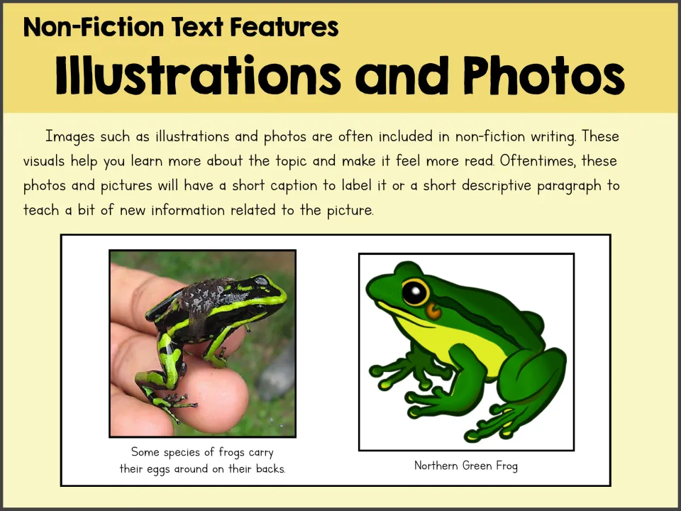 Illustrations and photos poster showing a frog carrying eggs and a Northern Green Frog drawing with captions