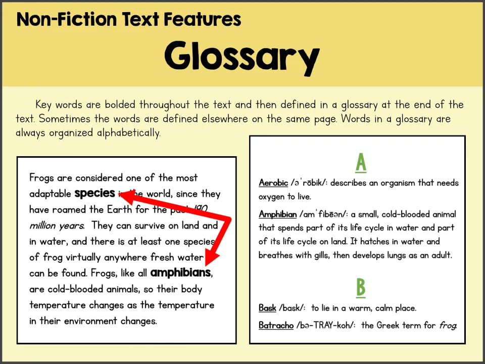Glossary poster connecting bold frog vocabulary to definitions and showing alphabetized entries under A and B