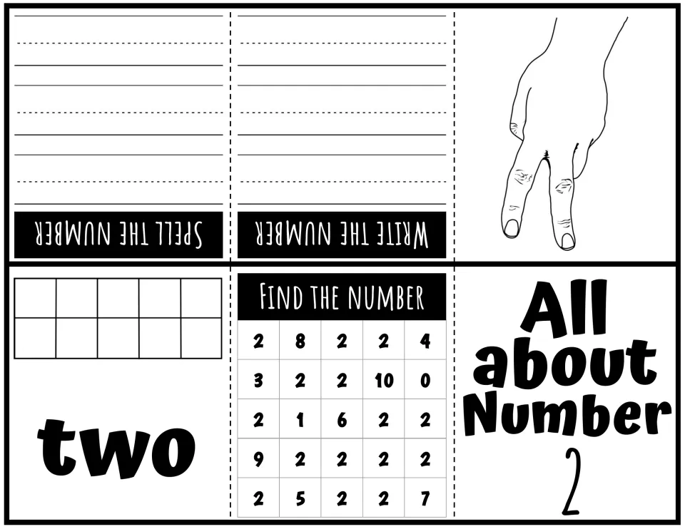 Number 2 mini booklet: two fingers shown, the word two, a ten frame to show 2, and a search grid for spotting each 2