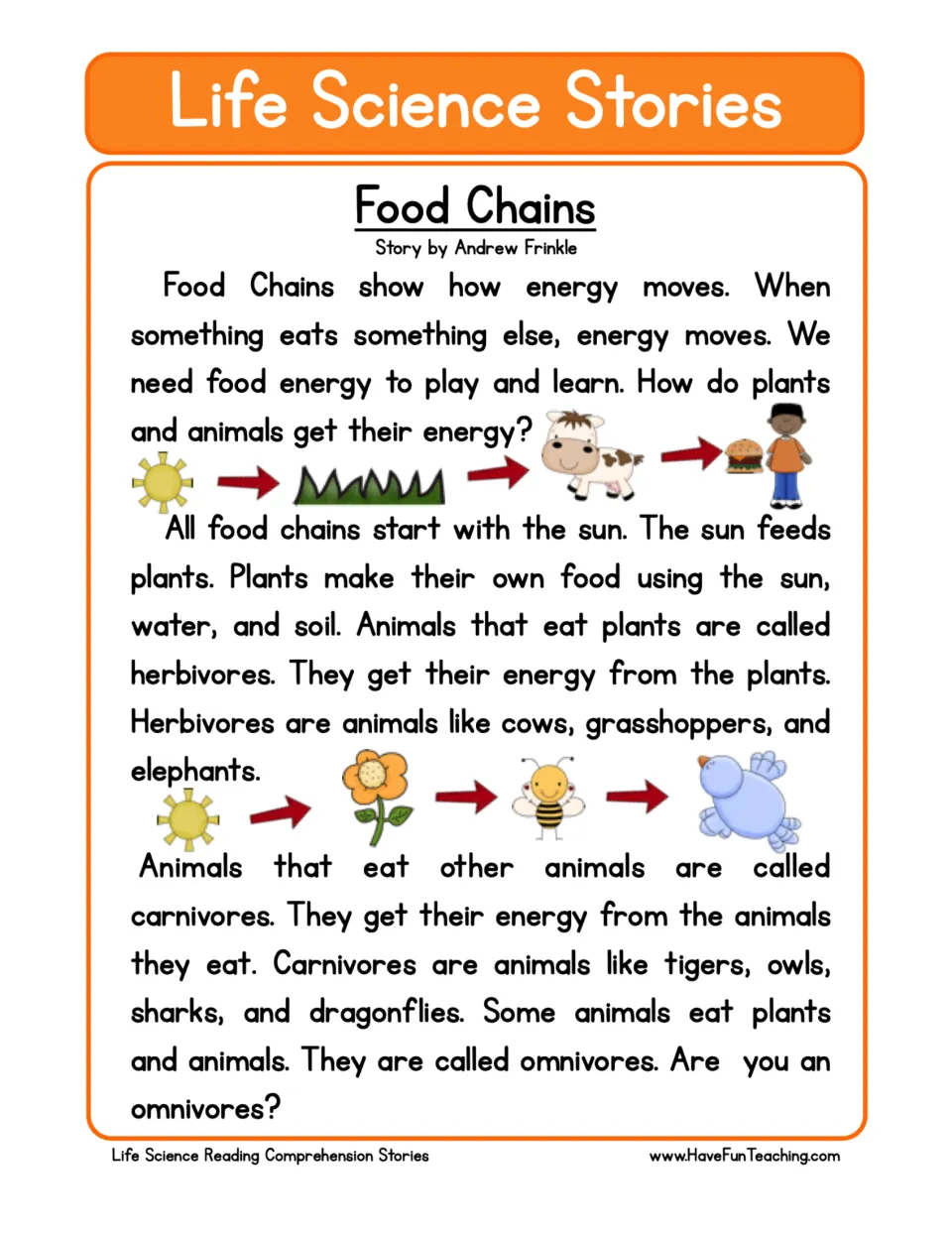 Food chains reading passage: students read how energy moves from the sun to plants, herbivores, carnivores and omnivores