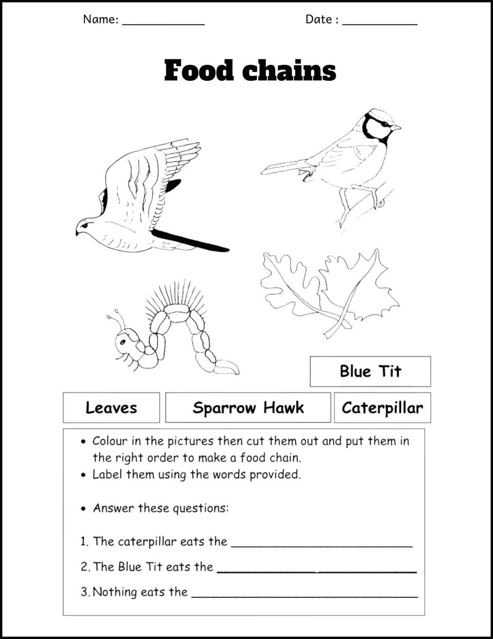 Leaves, caterpillar, blue tit and sparrow hawk: students colour, cut out and order the pictures, then answer 3 questions