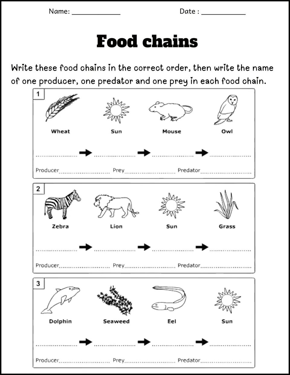 Sequencing three mixed-up chains such as wheat, mouse and owl; students order each and name a producer, predator and prey