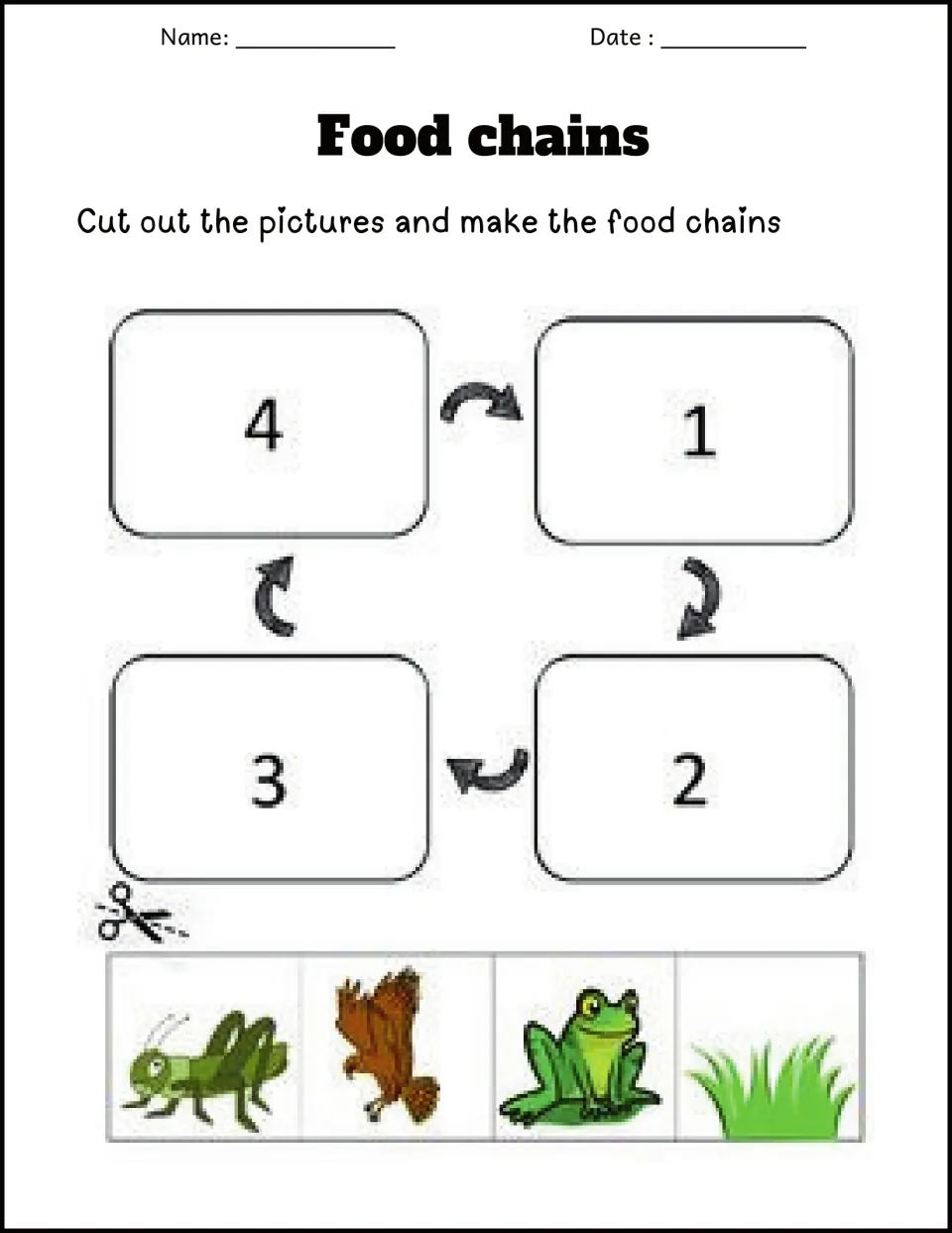 Cut-and-paste cycle: students cut out grass, grasshopper, frog and bird pictures and glue them into steps 1 to 4
