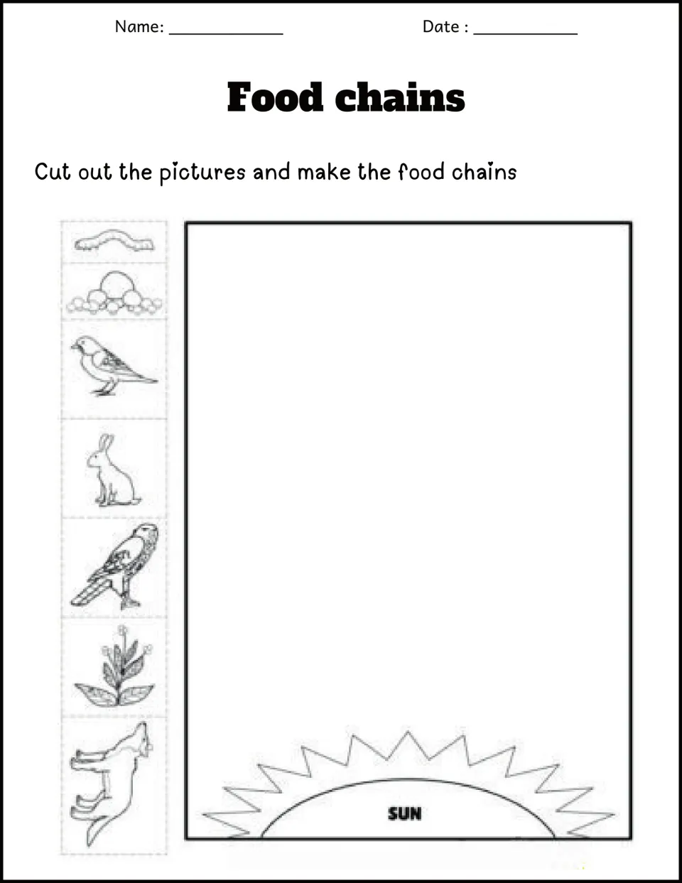 Build-a-chain collage: students cut out plant, worm, rabbit, bird and fox pictures and arrange them above a drawn sun