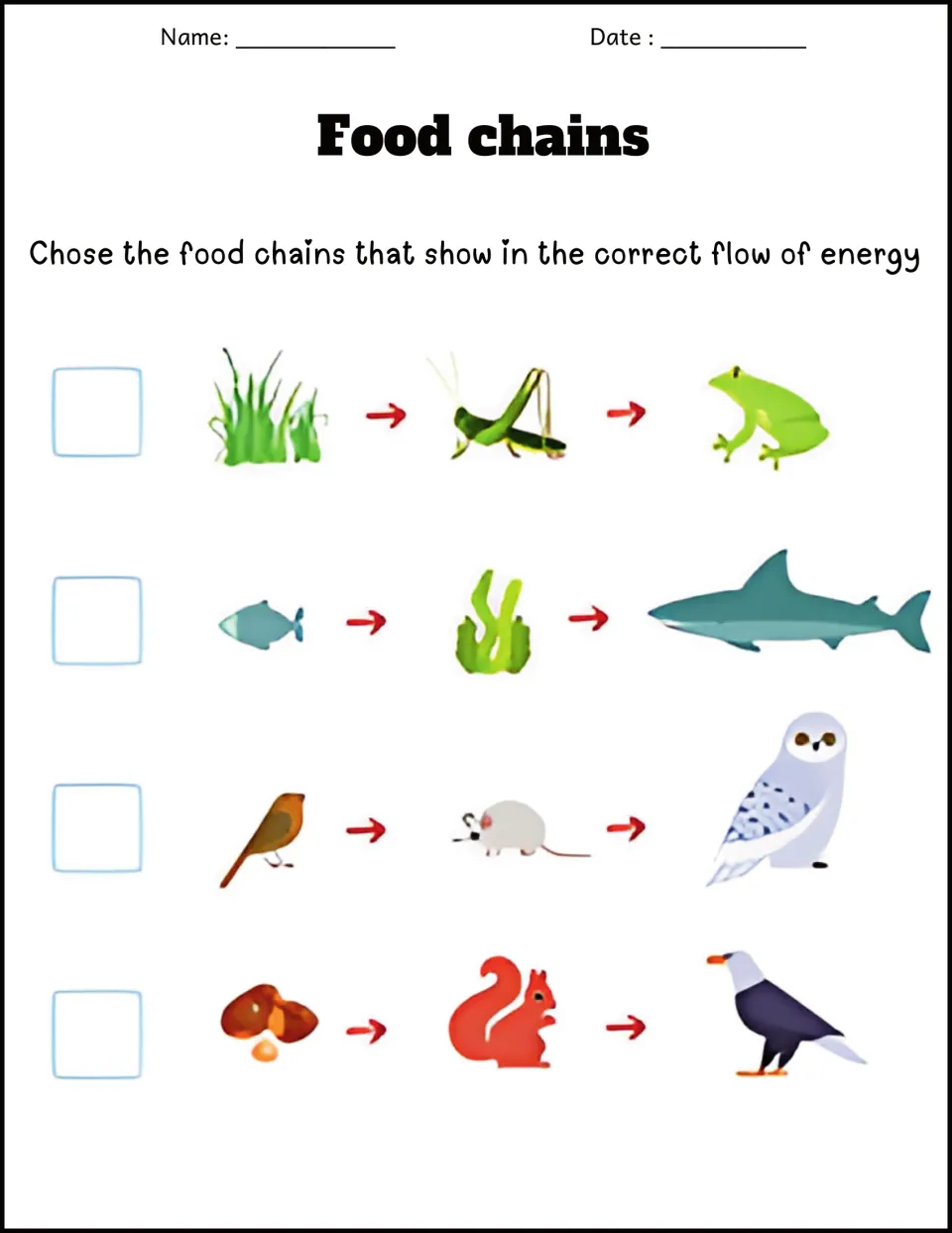 Flow of energy check: students tick which of four picture chains, like grass to grasshopper to frog, run in the right order