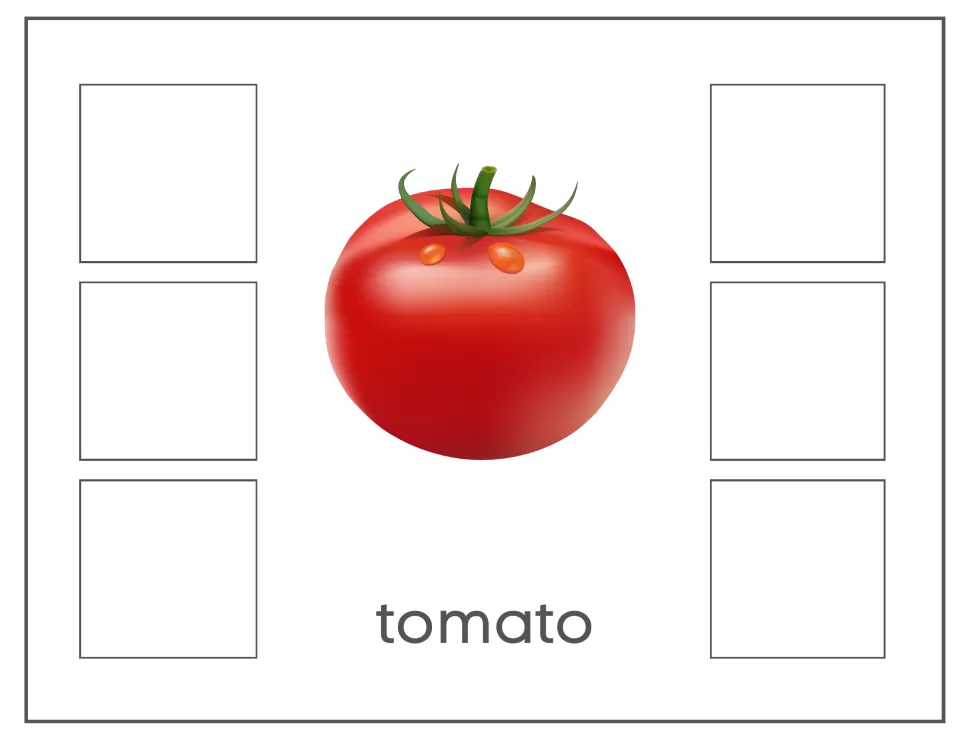 Tomato sorting card with a red tomato and the label 'tomato' for matching non-identical tomato images