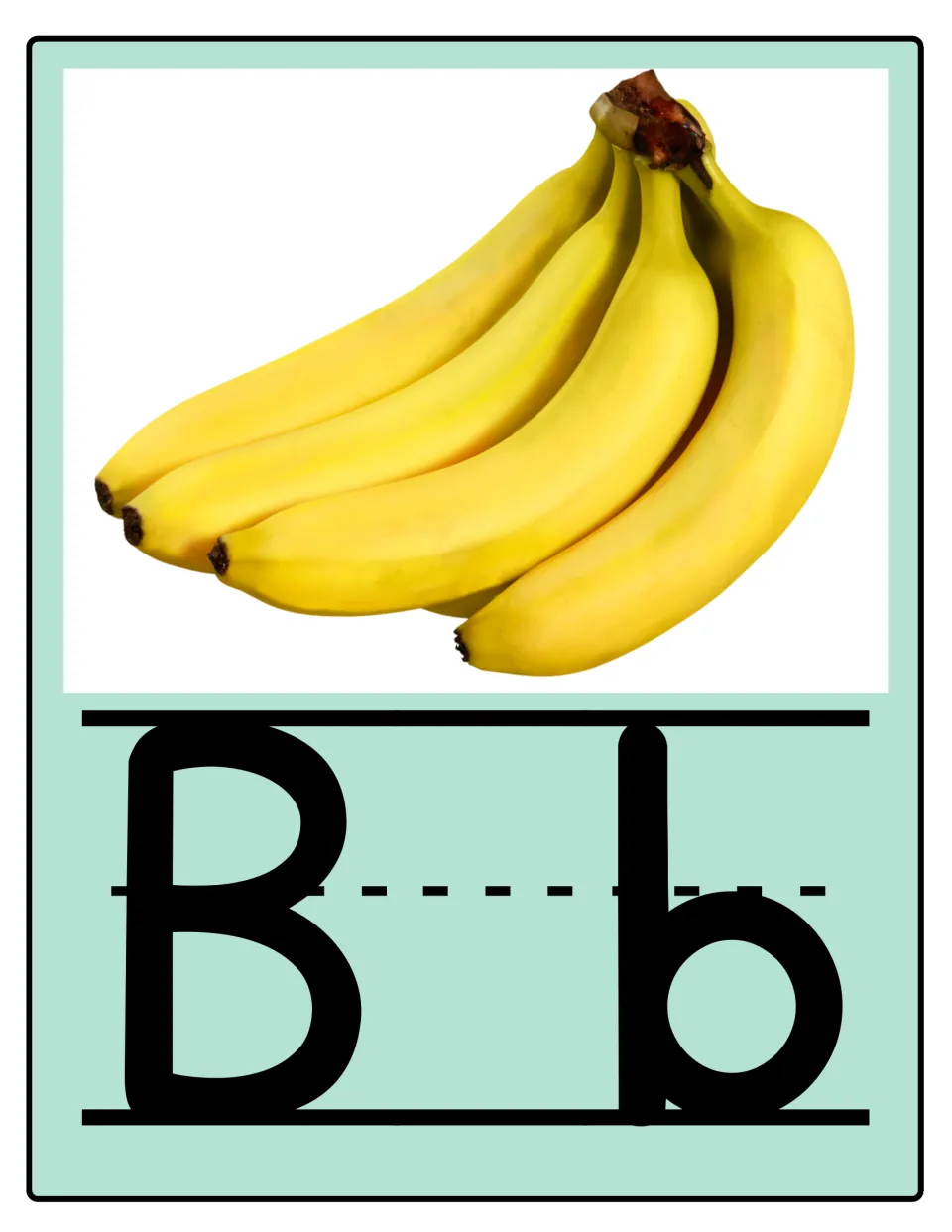 Alphabet poster for B: uppercase B and lowercase b paired with a bunch of bananas in the food alphabet set
