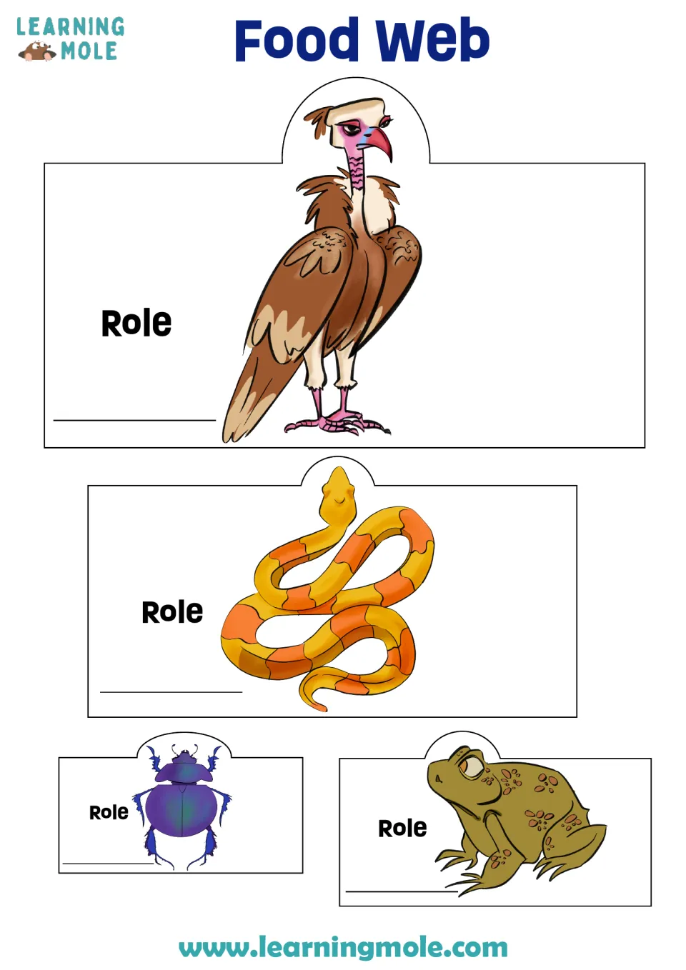 Food web cut-outs: students label the role of a vulture, snake, beetle and toad on strips that roll into tubes