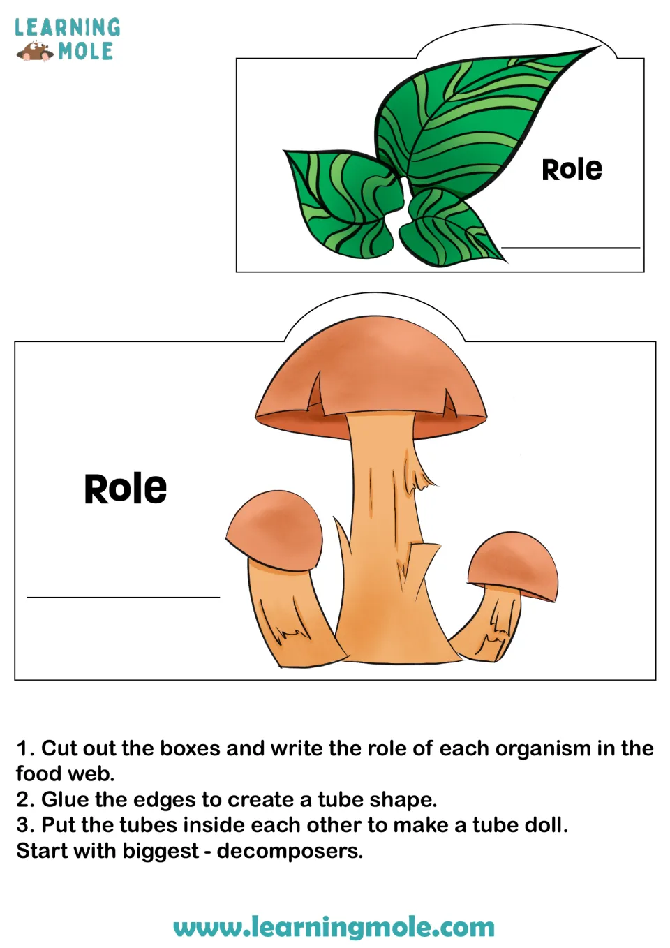 Food web tube doll: students label leaf and mushroom cut-outs, then glue tubes and nest them, decomposers first