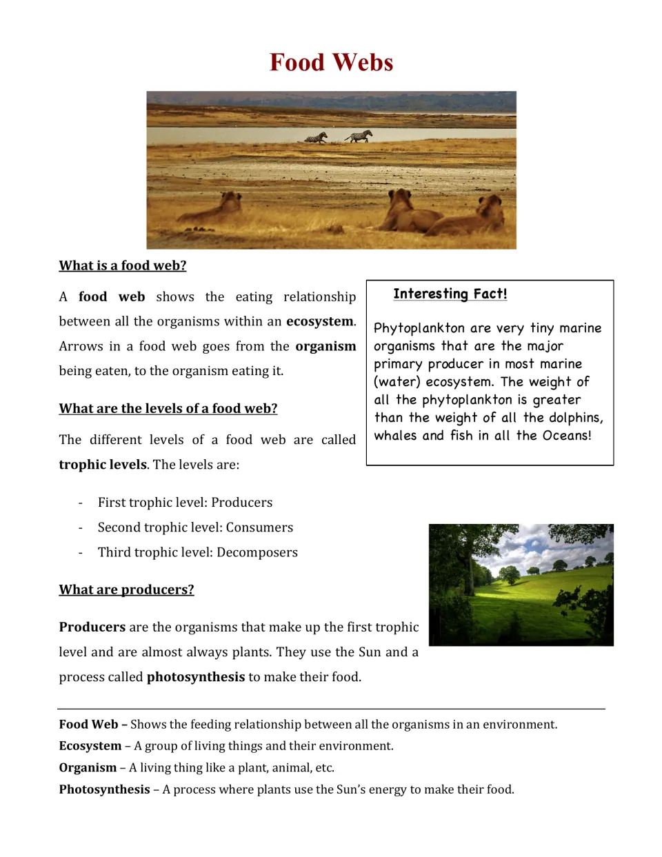 Food webs article: students read about trophic levels, producers and photosynthesis, plus a phytoplankton fact