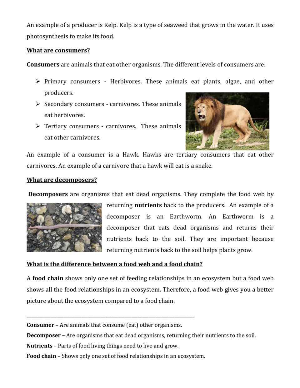 Consumers and decomposers reading: students meet kelp, hawk and earthworm examples and compare food webs with food chains