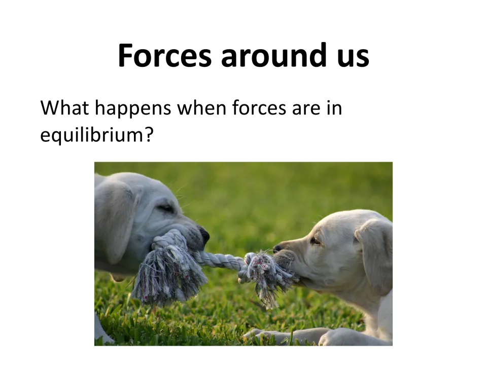 Forces around us: a puppy tug-of-war photo prompts discussion of what happens when forces are in equilibrium