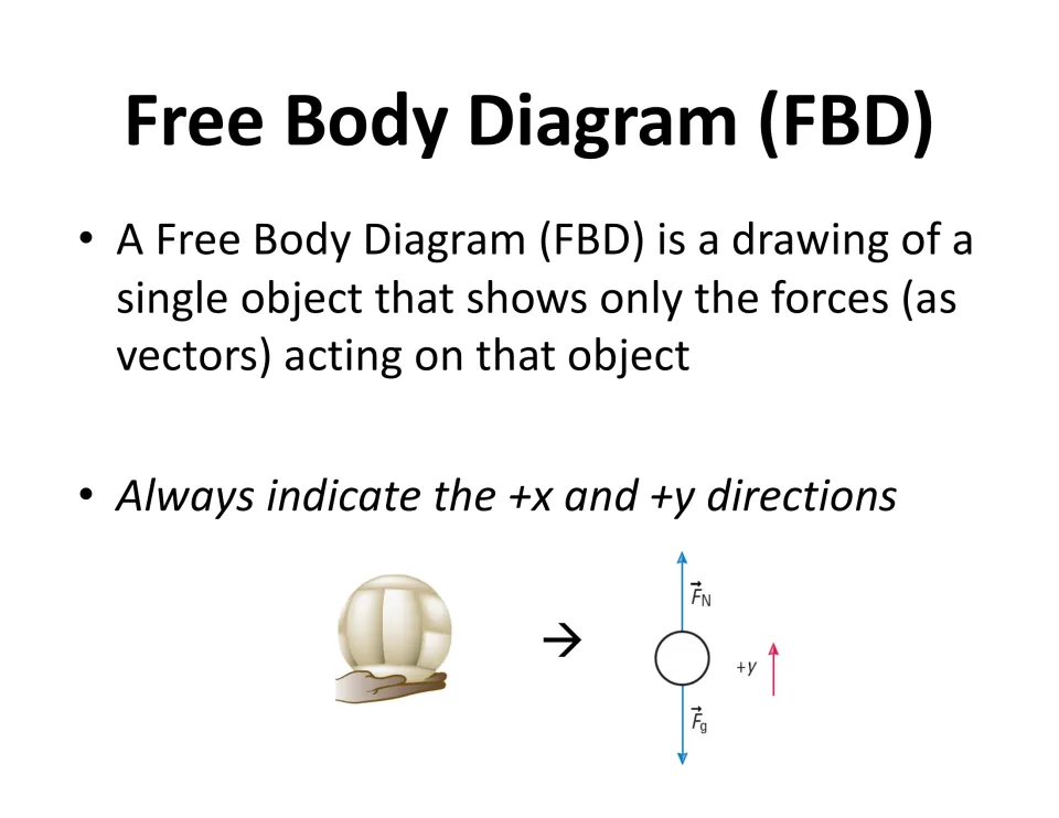 Free body diagram definition: only the forces on one object, as vectors; a ball held in a hand becomes FN, Fg and +y