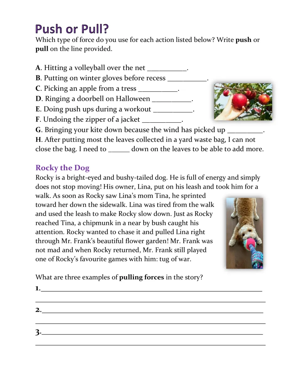 Push-or-pull practice includes eight actions and a Rocky the Dog story asking for three pulling examples